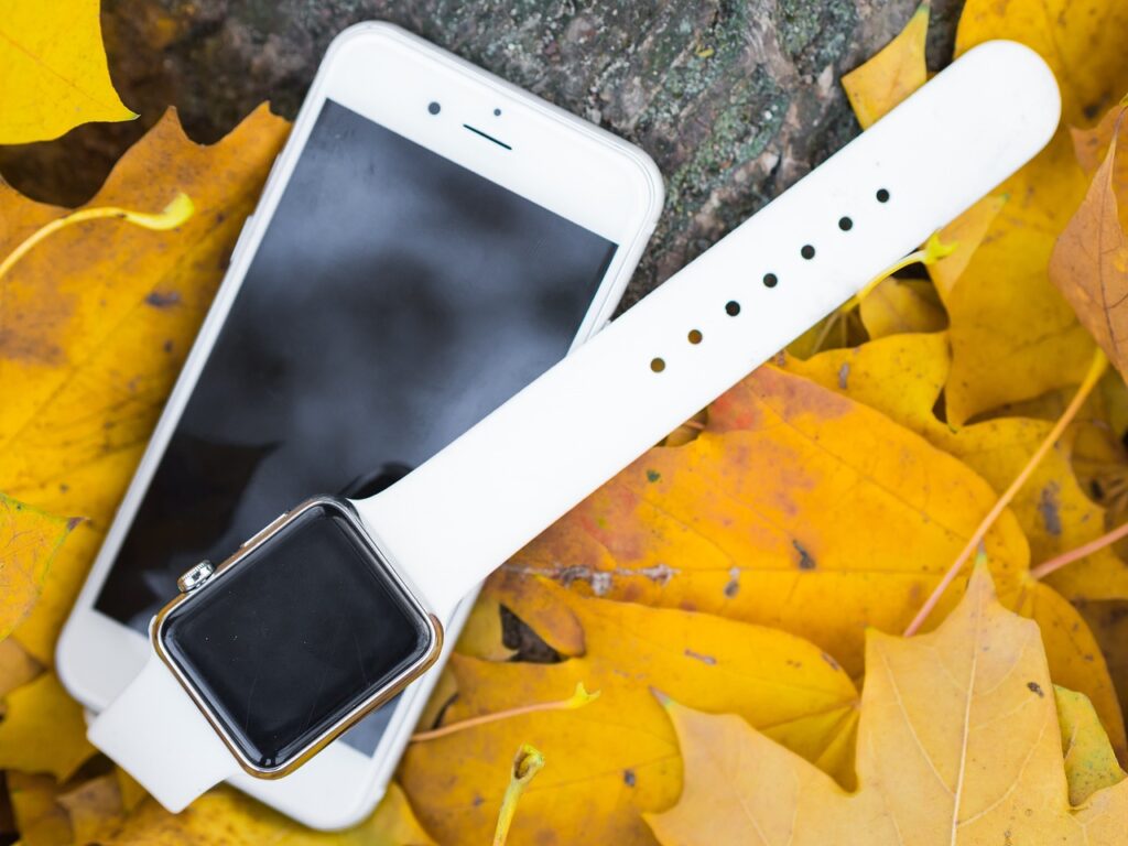 iPhone und Smartwatch